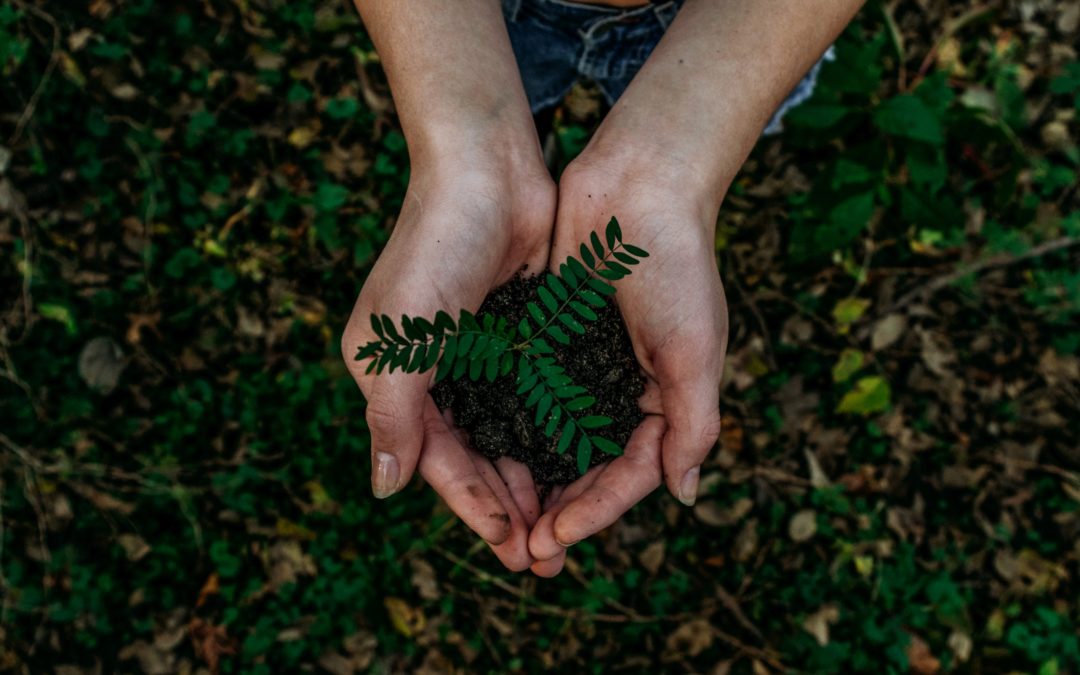 10 Ways you can be a more eco friendly family